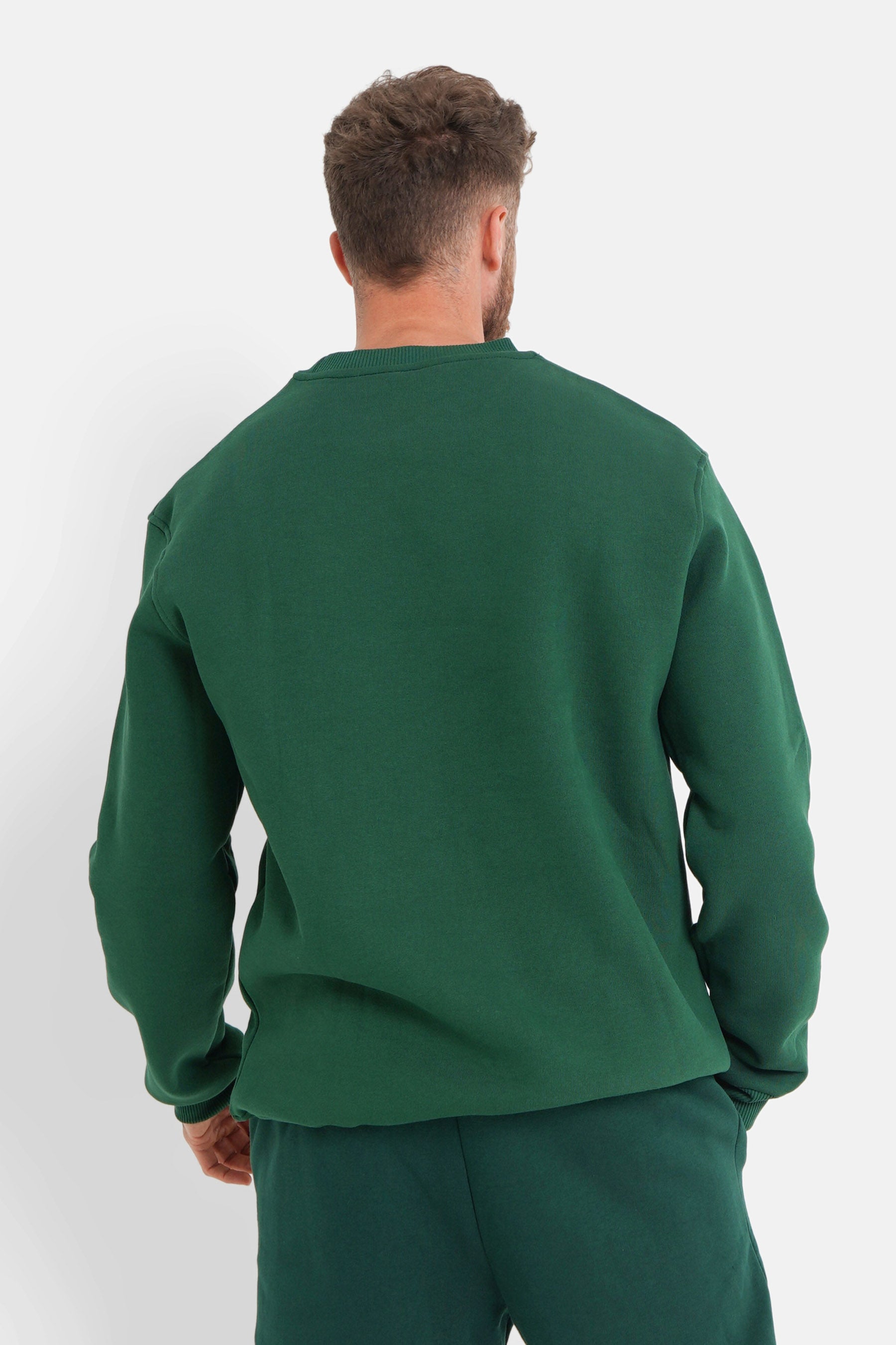 Fleece-Sweatshirt mit gesticktem Logo in Grün