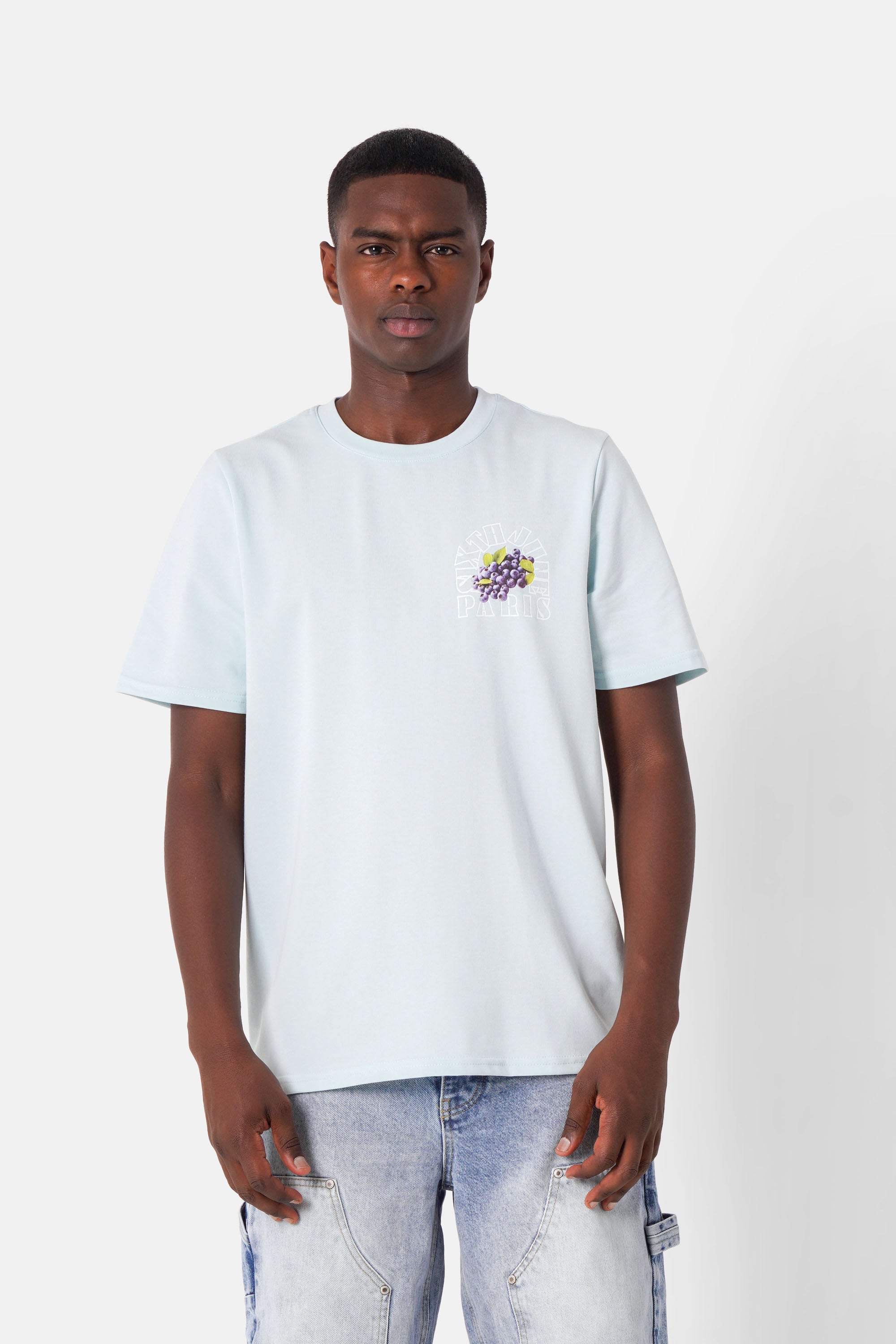 Fruit logo printed T-shirt light Blue