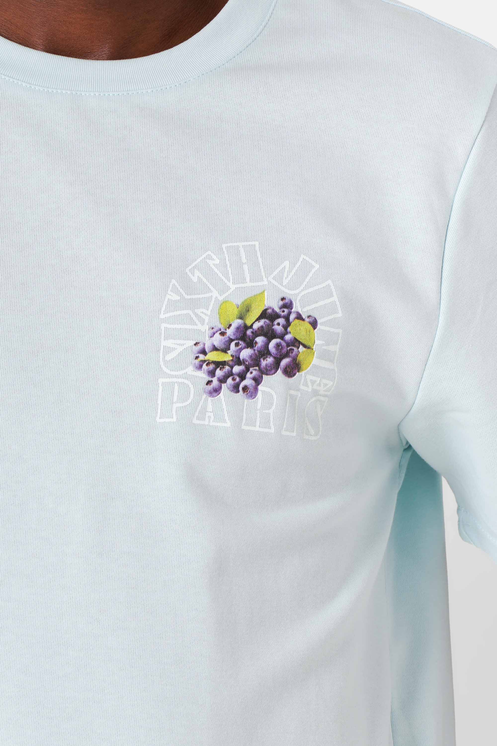 Fruit logo printed T-shirt light Blue