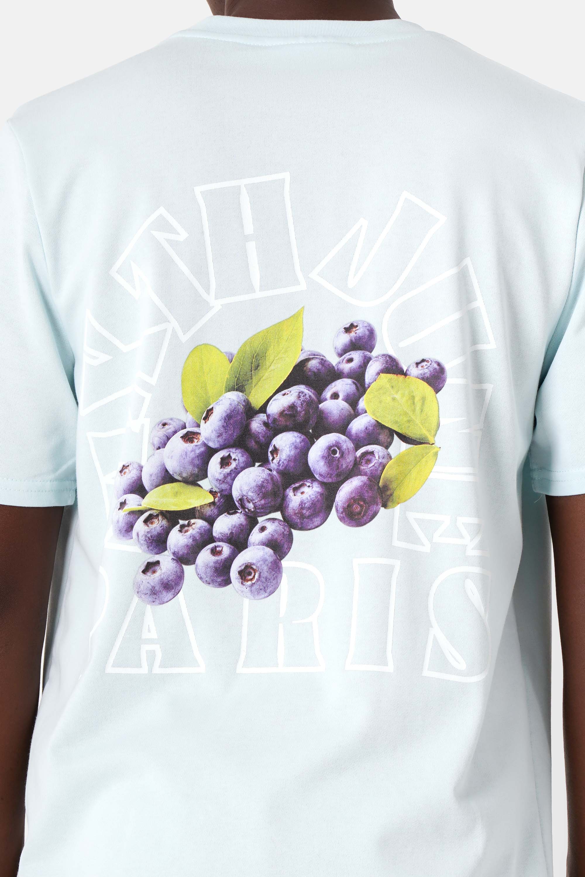 Fruit logo printed T-shirt light Blue