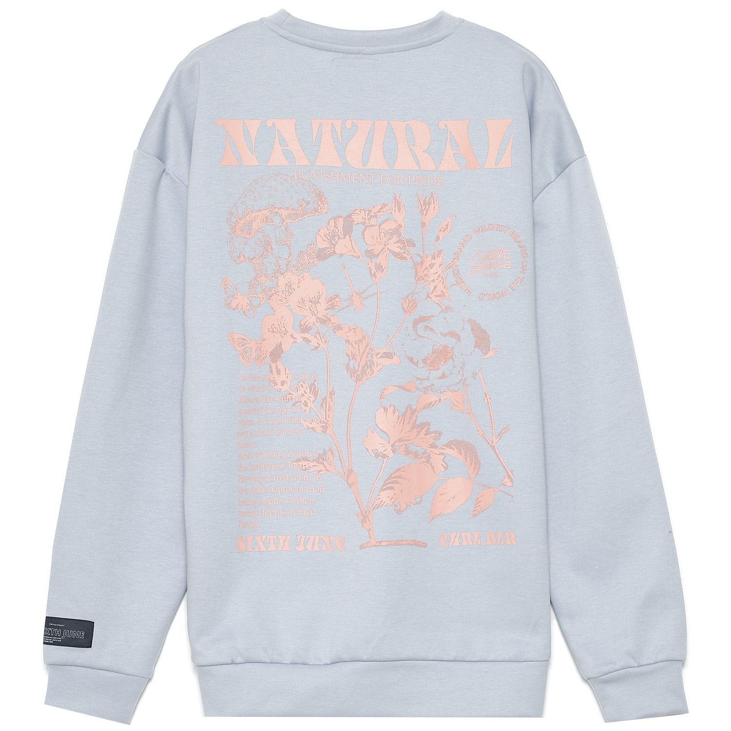 Sweatshirt natural pastel bleu