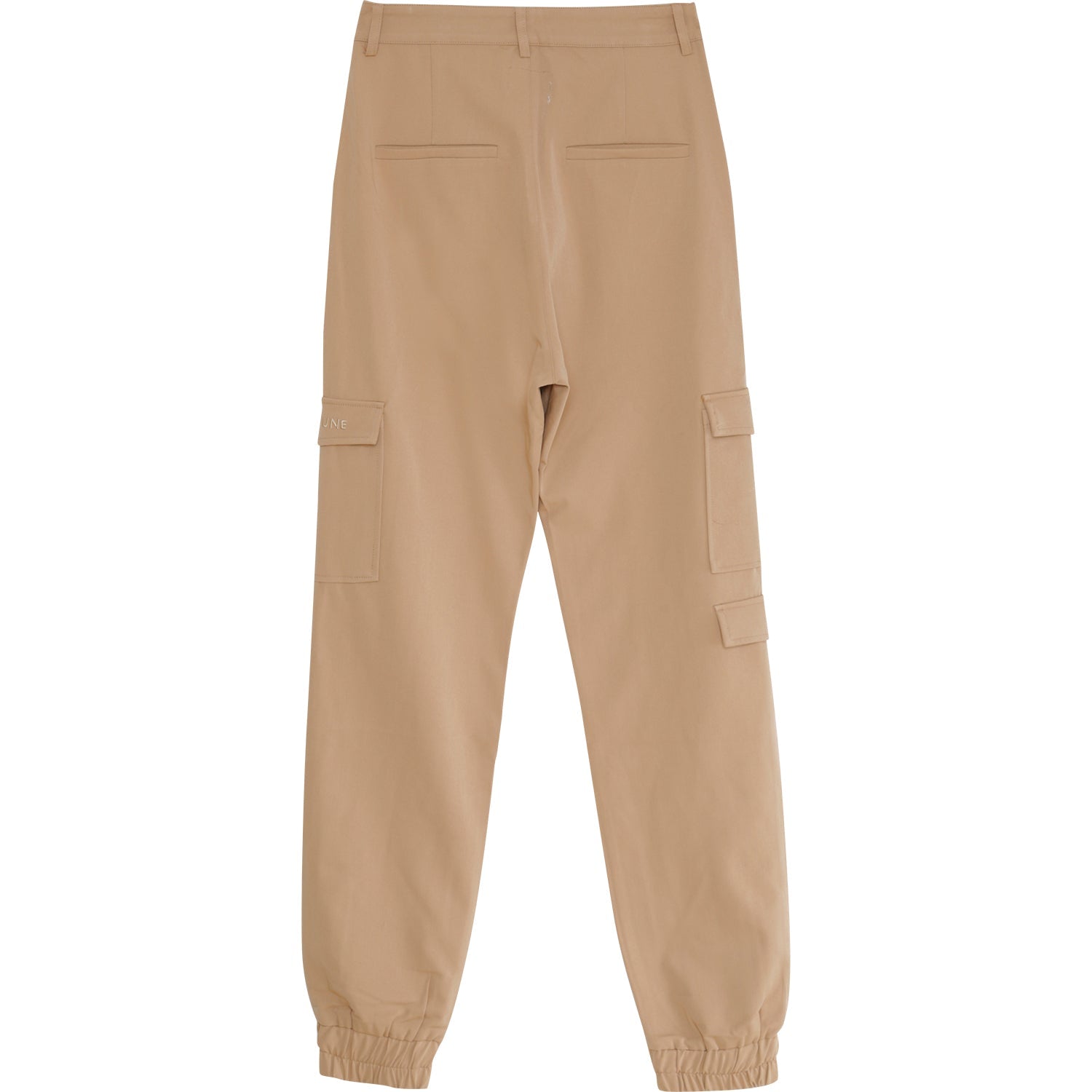 Embroidered cargo pants Beige