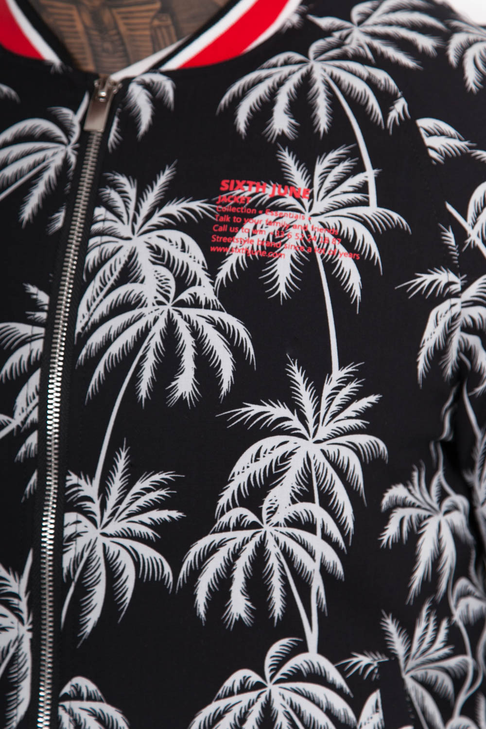 Teddy dicke Palmen schwarz weiß