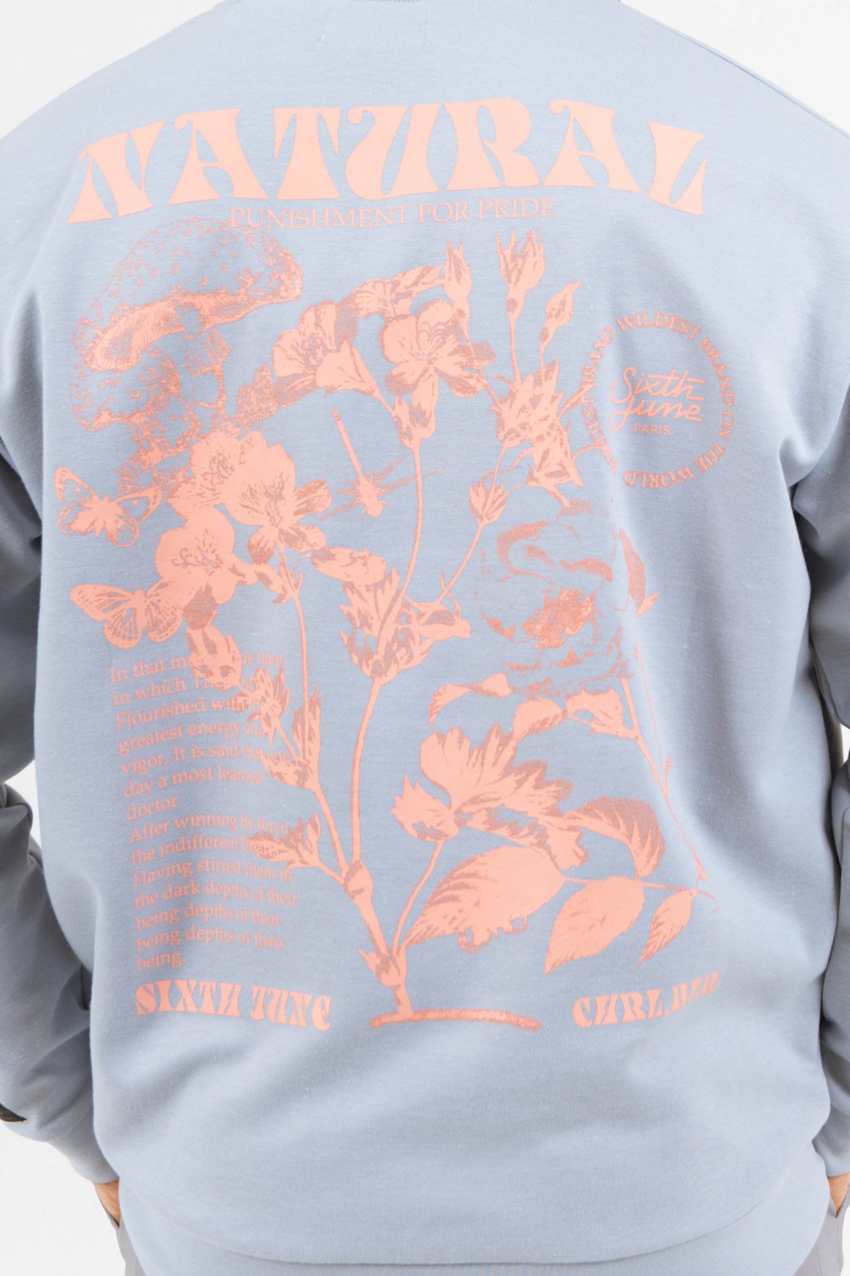 Sweatshirt natural pastel bleu